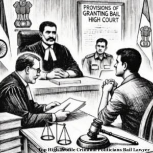 Top High Profile Criminal Politicians Bail Lawyer